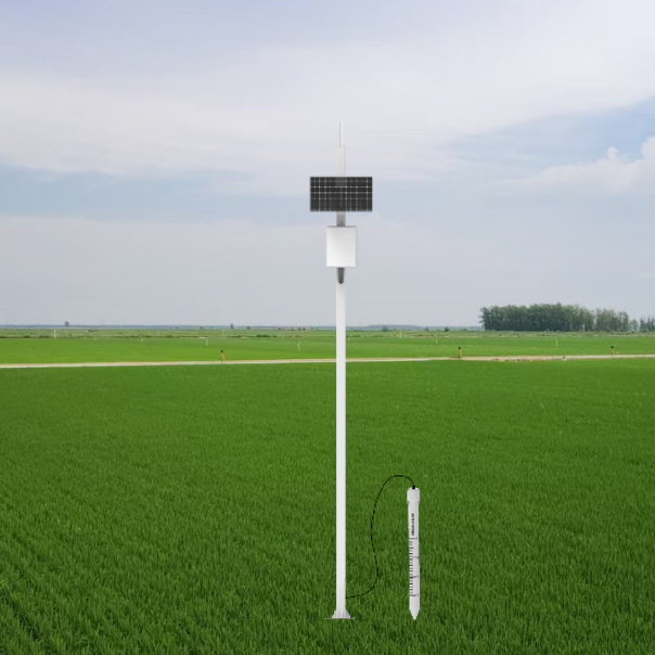 ����֮�� - dpzx.com