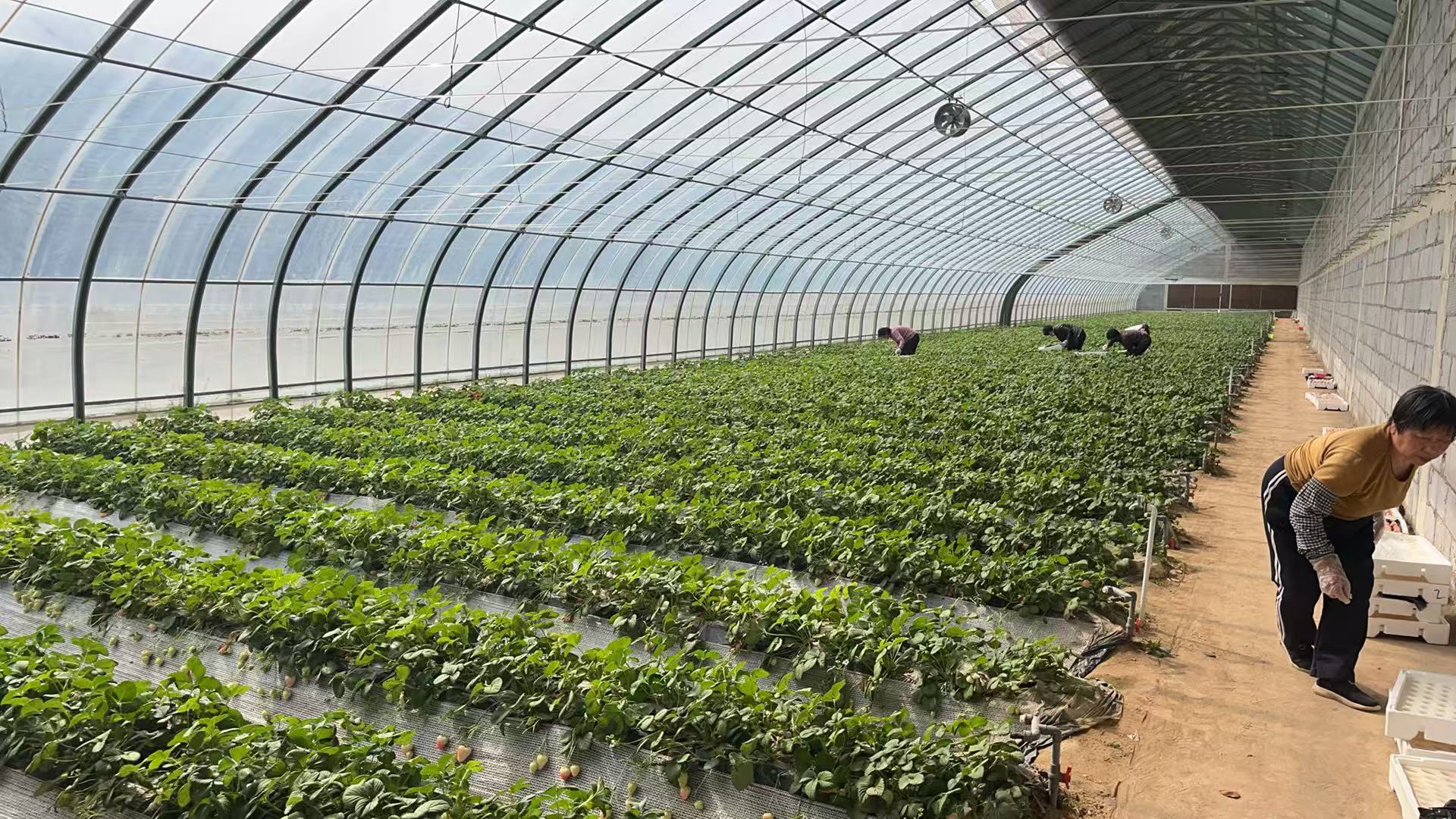 20260119095253_50535 µÂÆËÖ®ÐÇ - dpzx.com