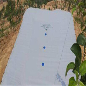 16z9CwjxnfOSRcs1NpgZ