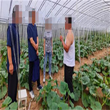 1j1MGHrIQmtlz82QbDn1