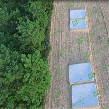 2PxHopGCijEKmZGyy21r