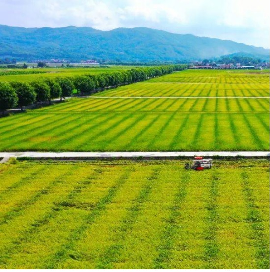 2QiniQJPXmtCxcn6ez2f