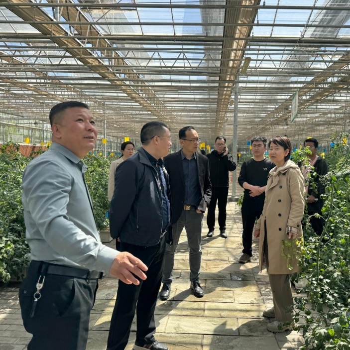 2zI7MDw7xUPAI6WVG4UV