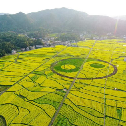 2zro4N2KqeRGtxZzdcxd