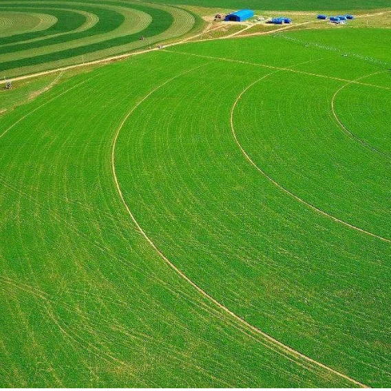 3tGNM6lKUBZrSVTN3mvV