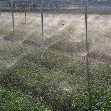 4w8i8SMcItLdnf1weyE1