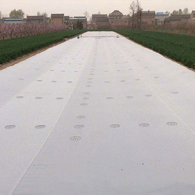 5UhCaEndZDBVdMyFz73K