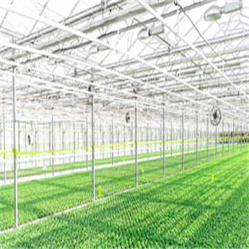 5ymc7EdpHnjn8DcigTom