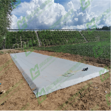 7pe1nm834jo9MnjdY5rn