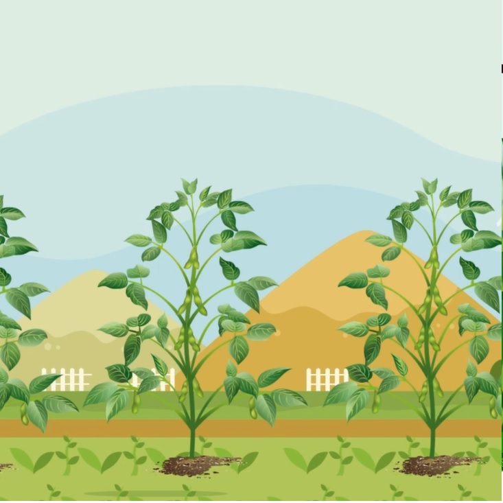 8ItDmxSop9s38CEWpR3R