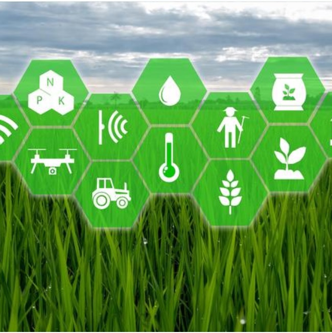 9BrzXswPMPQ840xtdPoz