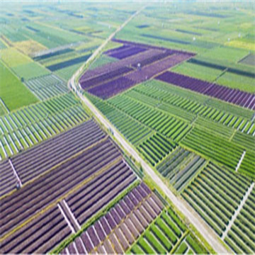 DhC1xXN7yLBLmlJzjH2B