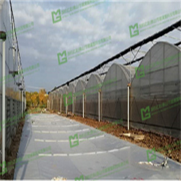 EQtZDBQeeJdeQdrB8yyI