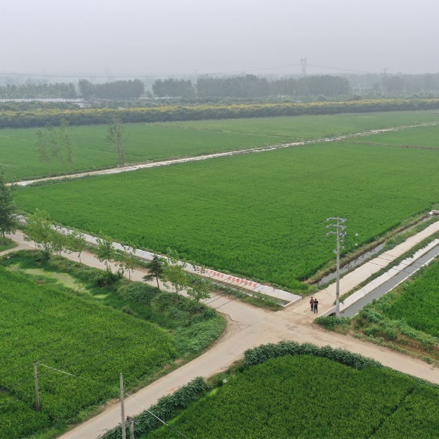 Fb2SwUcdq98OE7UaWnDs