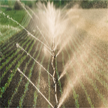 GW8haNTlsblC68fA7OFy