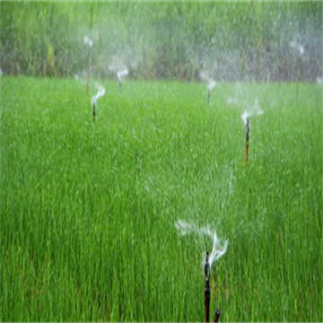 GfAAfi4uGKThXmwKpKHh