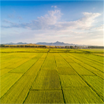 GysD70kybk1ZKAPzqB2U