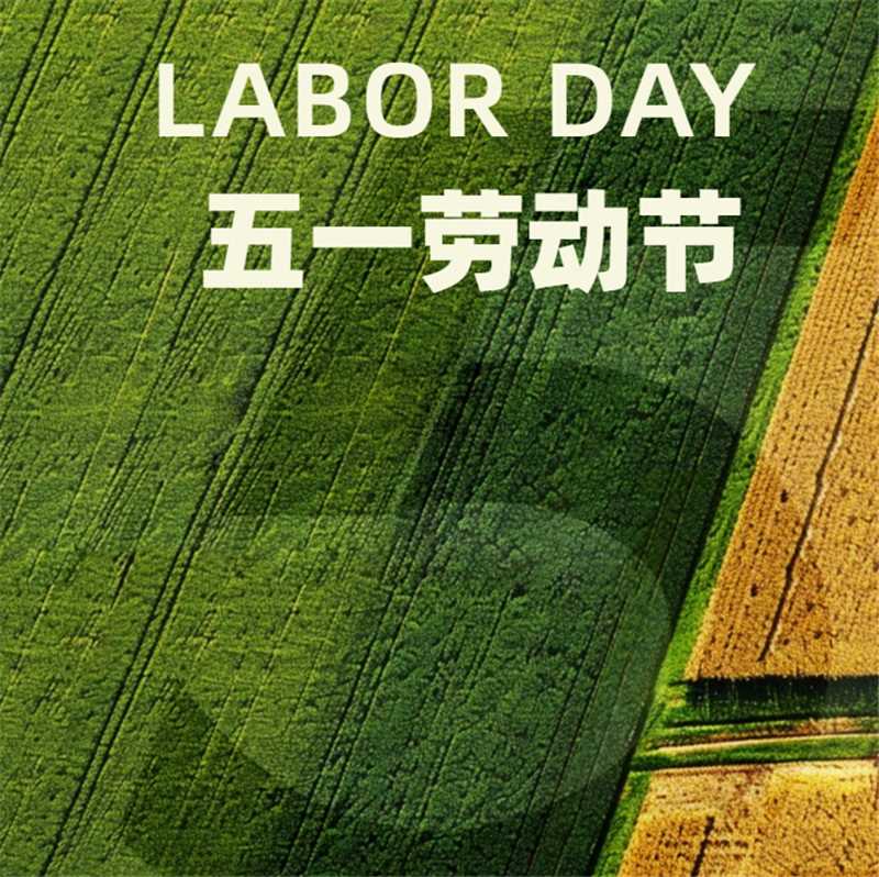 JZnRx3C8xSnV5PKW4sYa