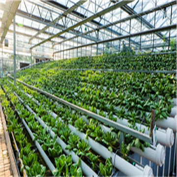 P15VsggxuOE6iaqgEb4N