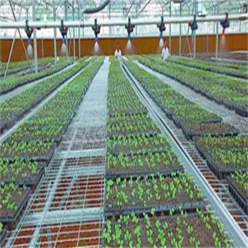 QVVkQZQVpjOje1YXgLod