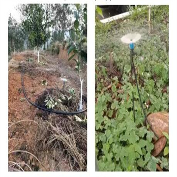 ROPubILb2tqLeTZJsBcA