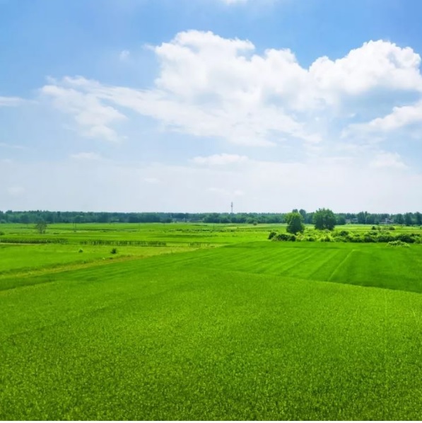 Rh7Fdir0IQo3cLEebre1