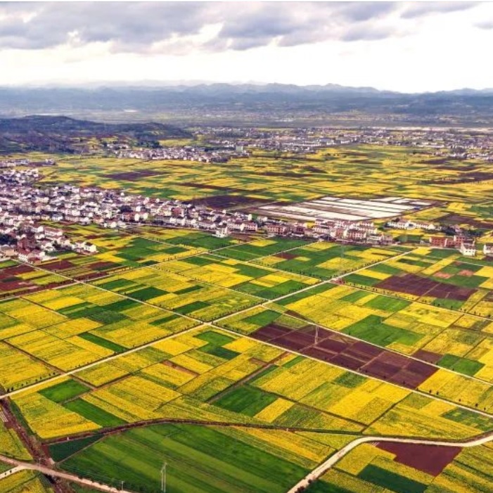 Tlw0iSbVyHF67krbbKx4