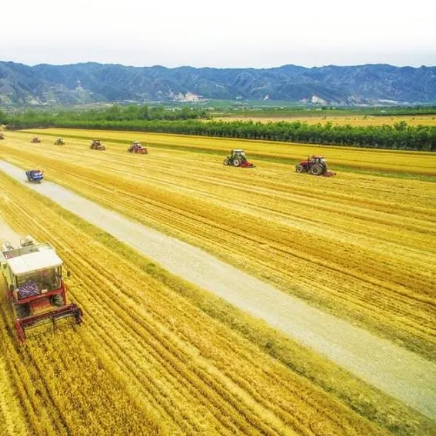 WxnjRPTADgOcdSDvo3uk