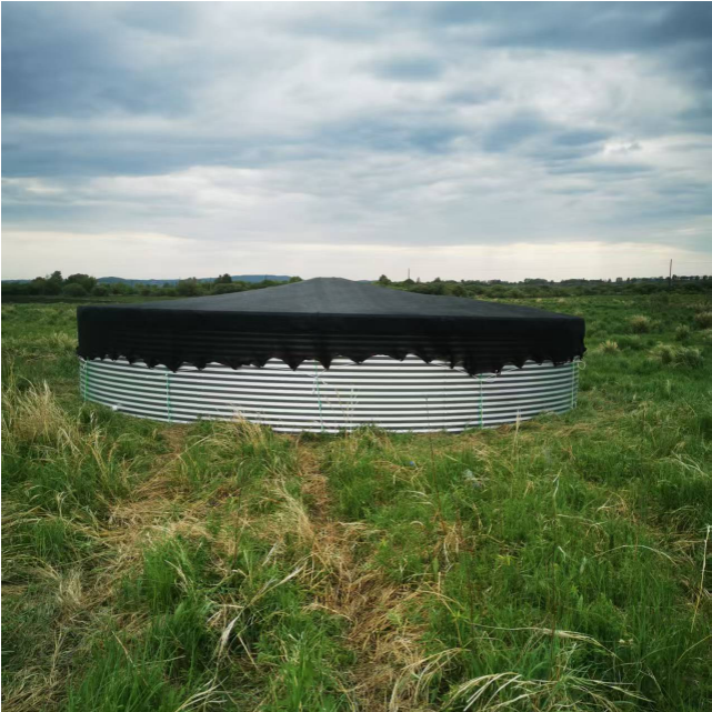 Y6xqMHvM80LWjkwxYLVV