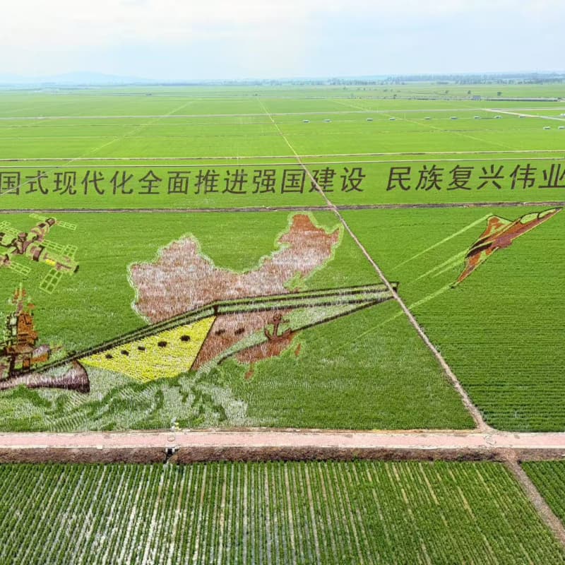 YiZwo0JnILhE8XetQaxo