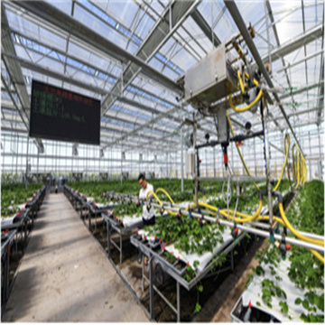 ZQP1zZM9GvFAi4ZkiJnL