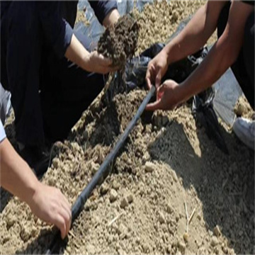 a90OH4yp2uXXGx0EBh3C