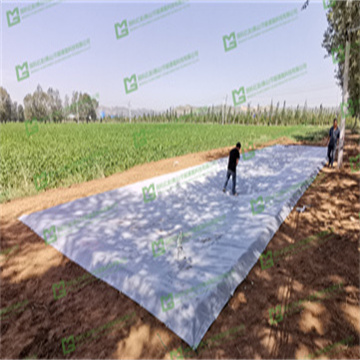 b80VecksBls59yyKuji5