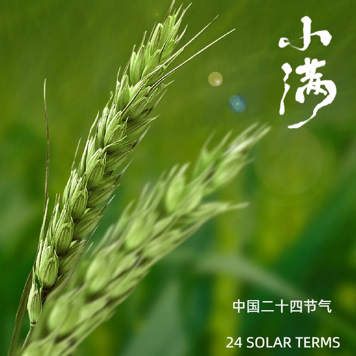 bpI2xeEjGYfhyLyHsy3d