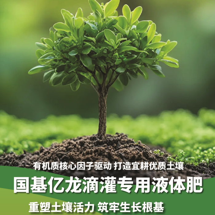 bv9AFQJK9WLplzjeYEAh