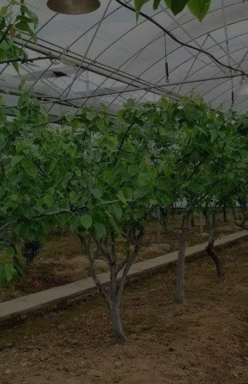 cYZ3aE02rvIfWzBnmNbM