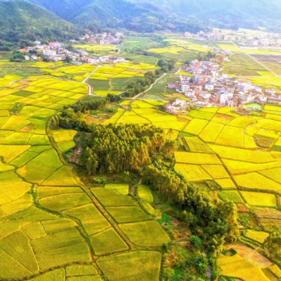 dg2ttuXiAcZyBCaLcy7W