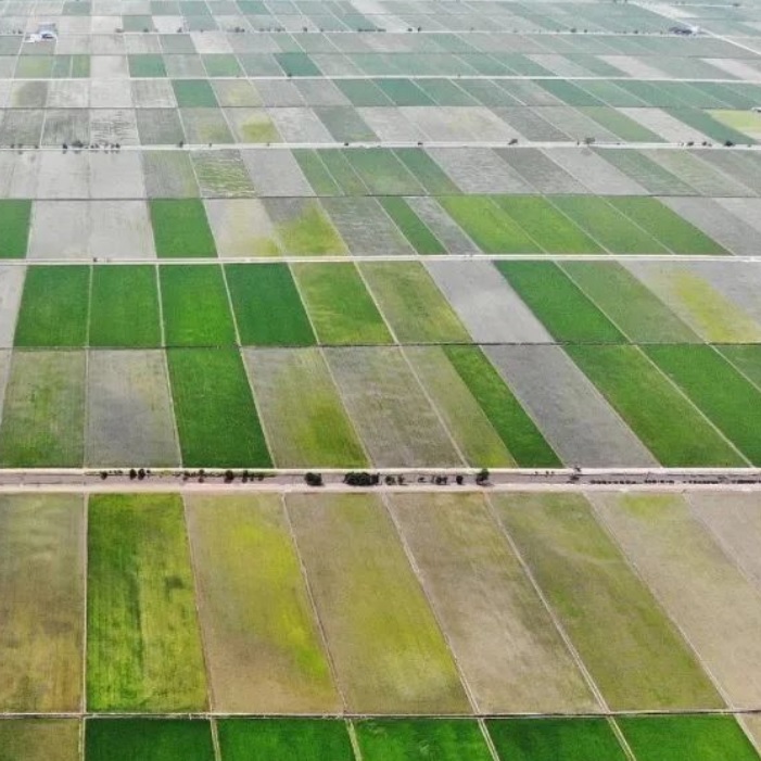 eZkAqxbrBJDpA0q1NwR6