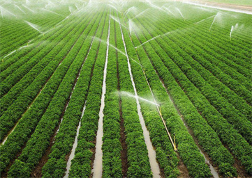 f5dN7SxK2Demf19SOIin