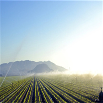 fpbtzLwgoX9BnRk3WGSv