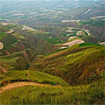 khbciI0cIL9RkqZOuamj