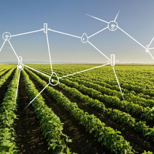 nH7eb6zmjDzpIwGzTR1I