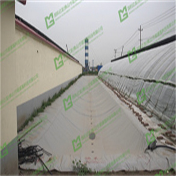 nYQu1dhTVMbBvPRsHx56