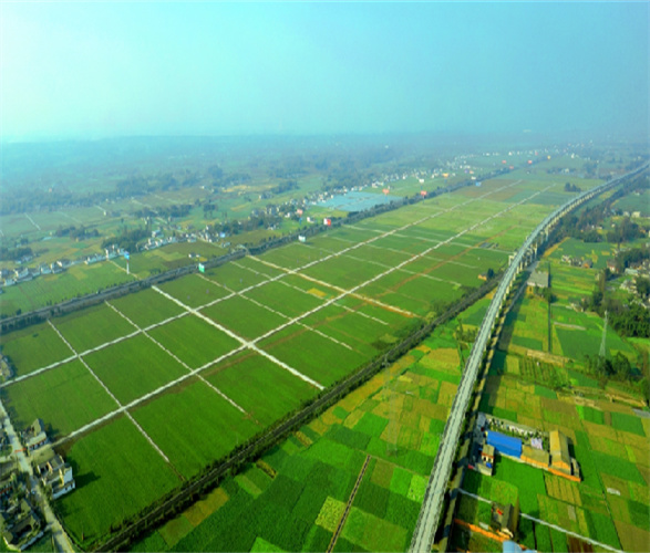 o4XTDWVzRfToLZVJP6WO