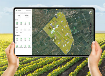 odvh3tyYVNw2PSSl7DRu