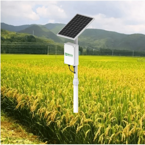 pNz19AZDXpYj0Ts4HURX