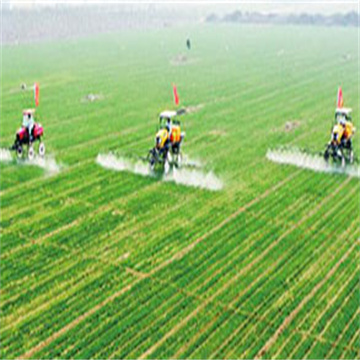 pVkykDZB8vuG09ooGojG