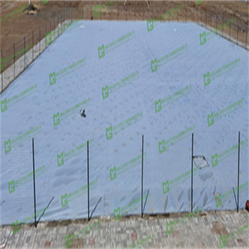 wdvUwPDGQY9AALCZSru0