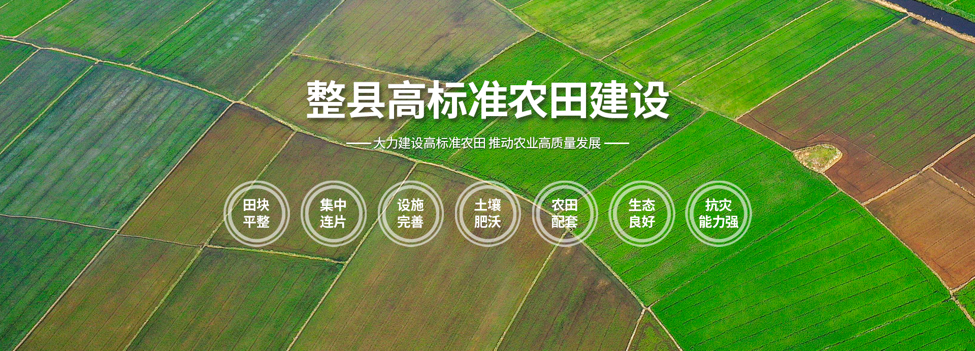 ����֮�� - dpzx.com